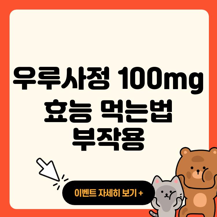 우루사정 100mg 효능 먹는법 부작용