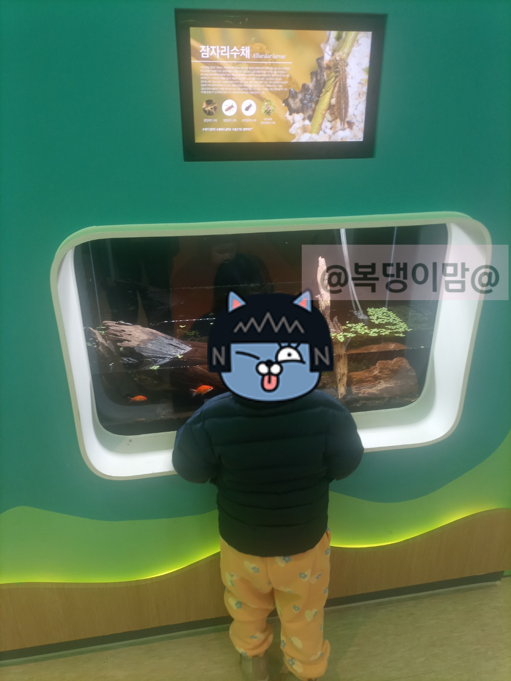 의령곤충생태학습관