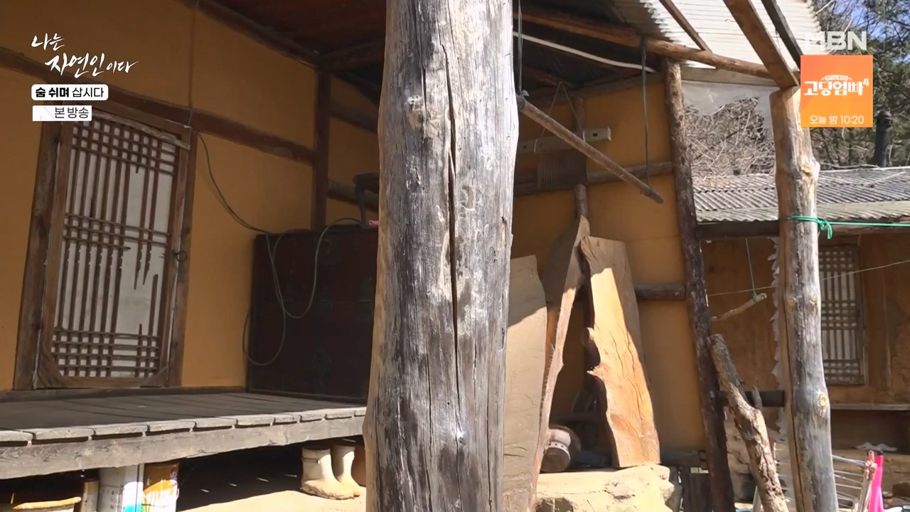 나는 자연인이다.E596.240307p-NEXT.mp4_20240307_195700.613.jpg