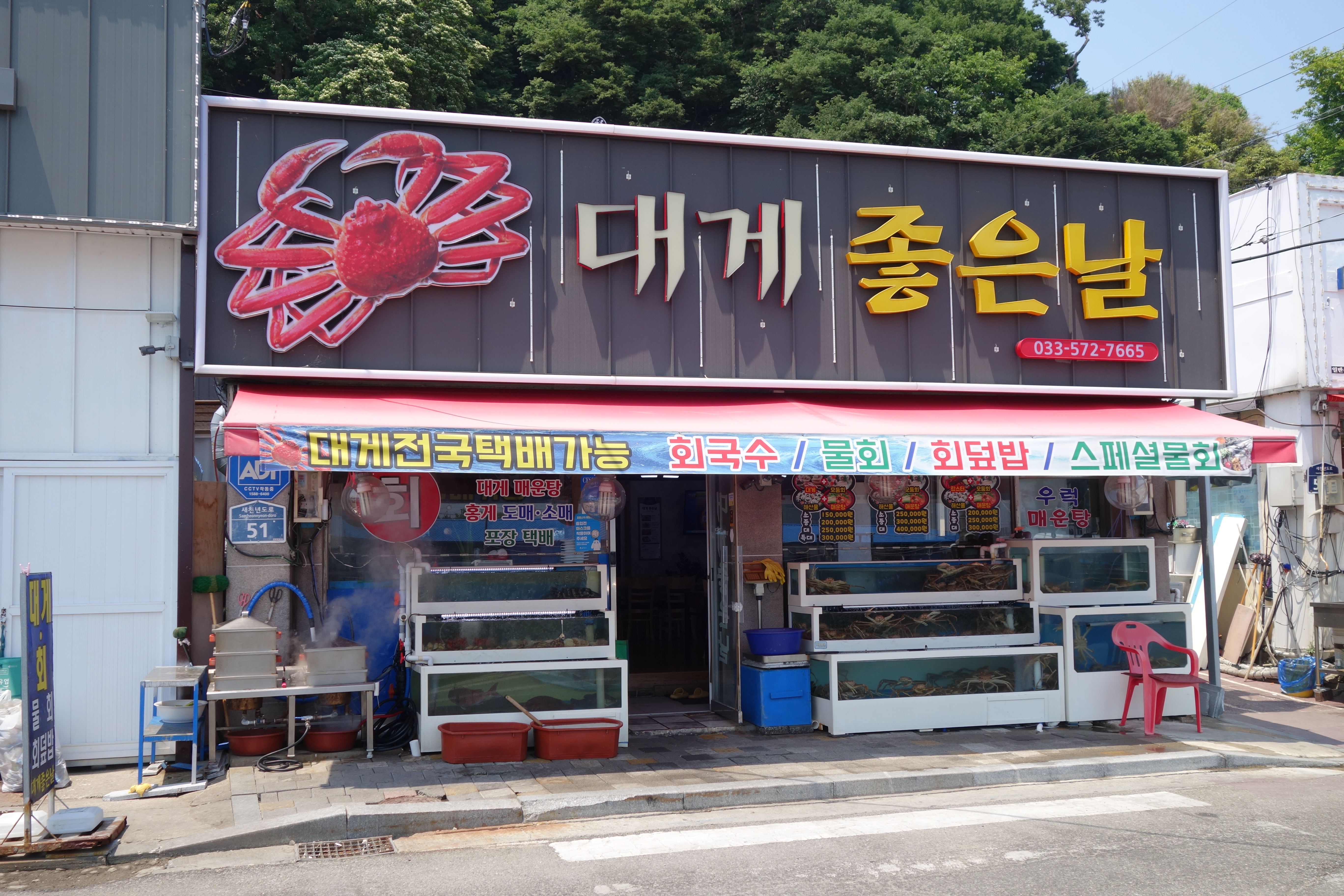 삼척 해안가의 보물&#44; 해산물의 천국 대게좋은날