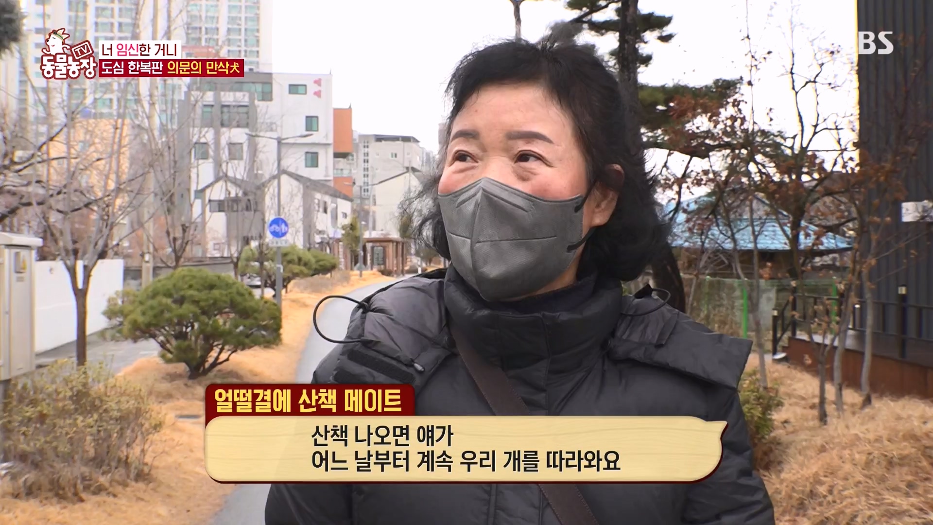 TV 동물농장.E1162.240310p-NEXT.mp4_20240310_162844.362.jpg