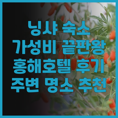 가성비 끝판왕 닝샤 숙소 Tongxi