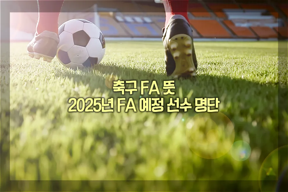 축구 FA 뜻