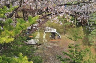 화담숲 모노레일 예약방법