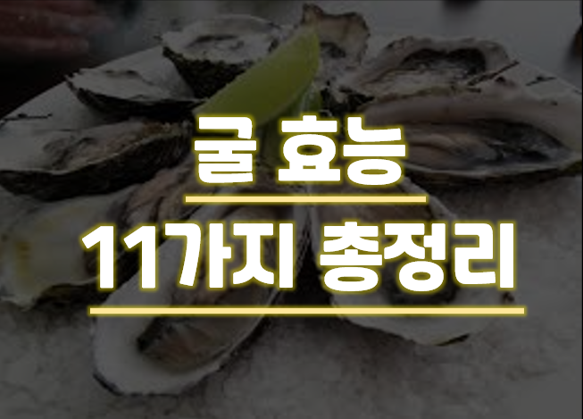  굴 효능 11가지 총정리