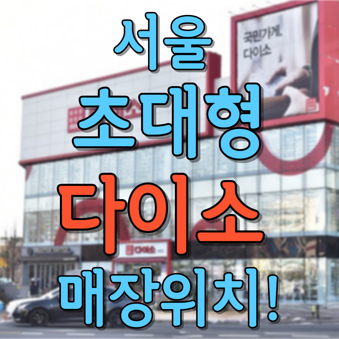 서울 초대형 다이소