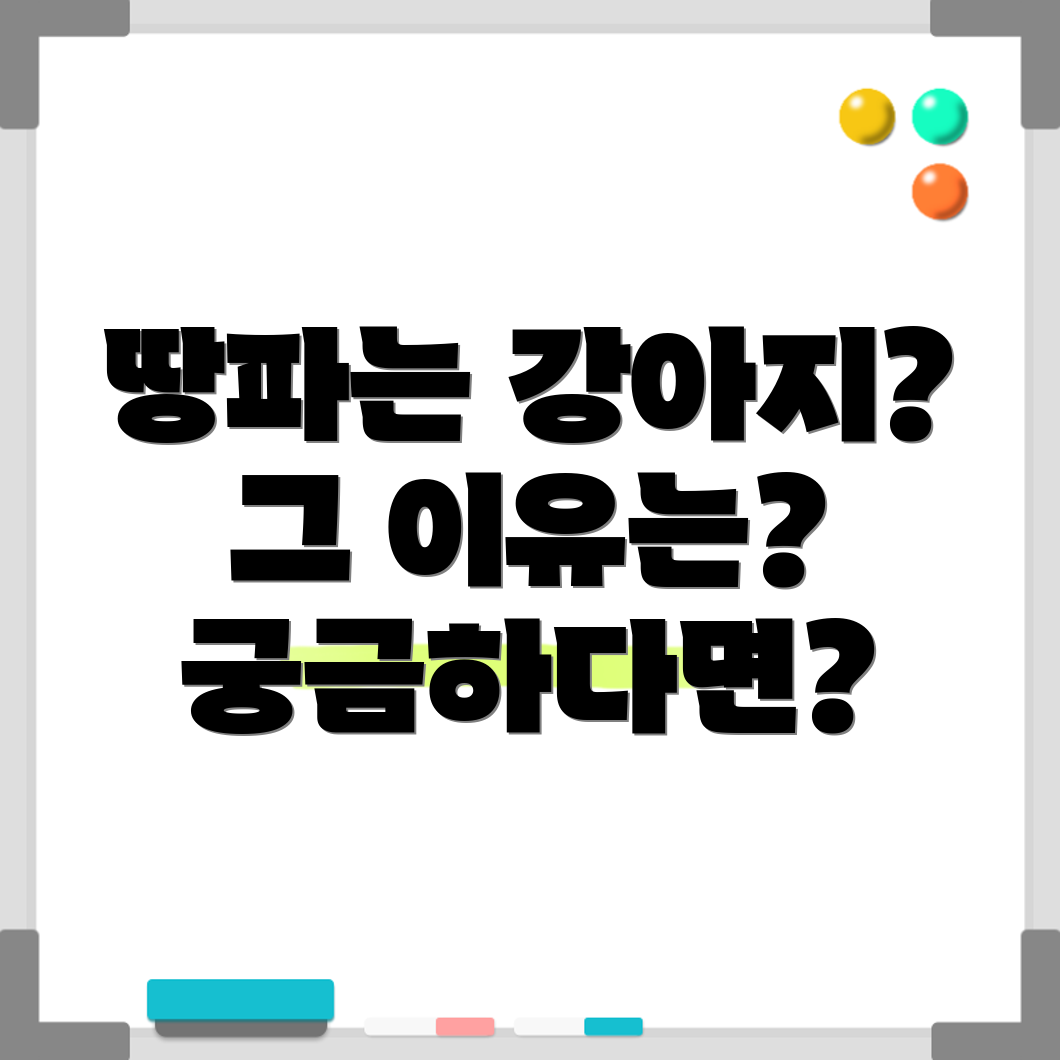 강아지 땅파기