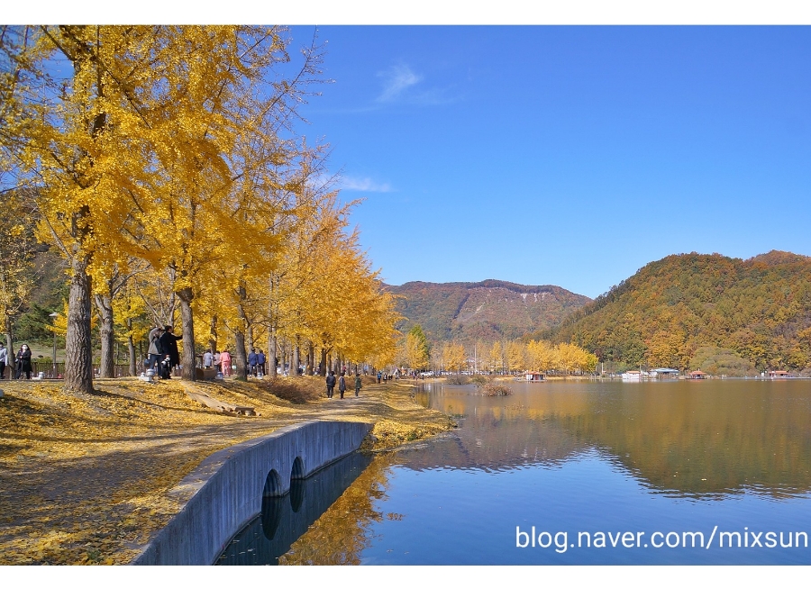 단풍구경 가볼만한 곳 괴산 가볼만한곳 11