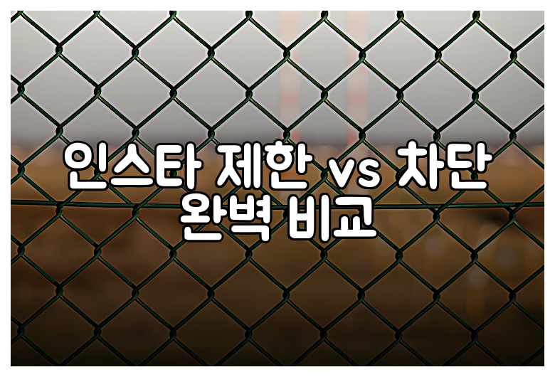 인스타 제한 vs 차단 완벽 비교