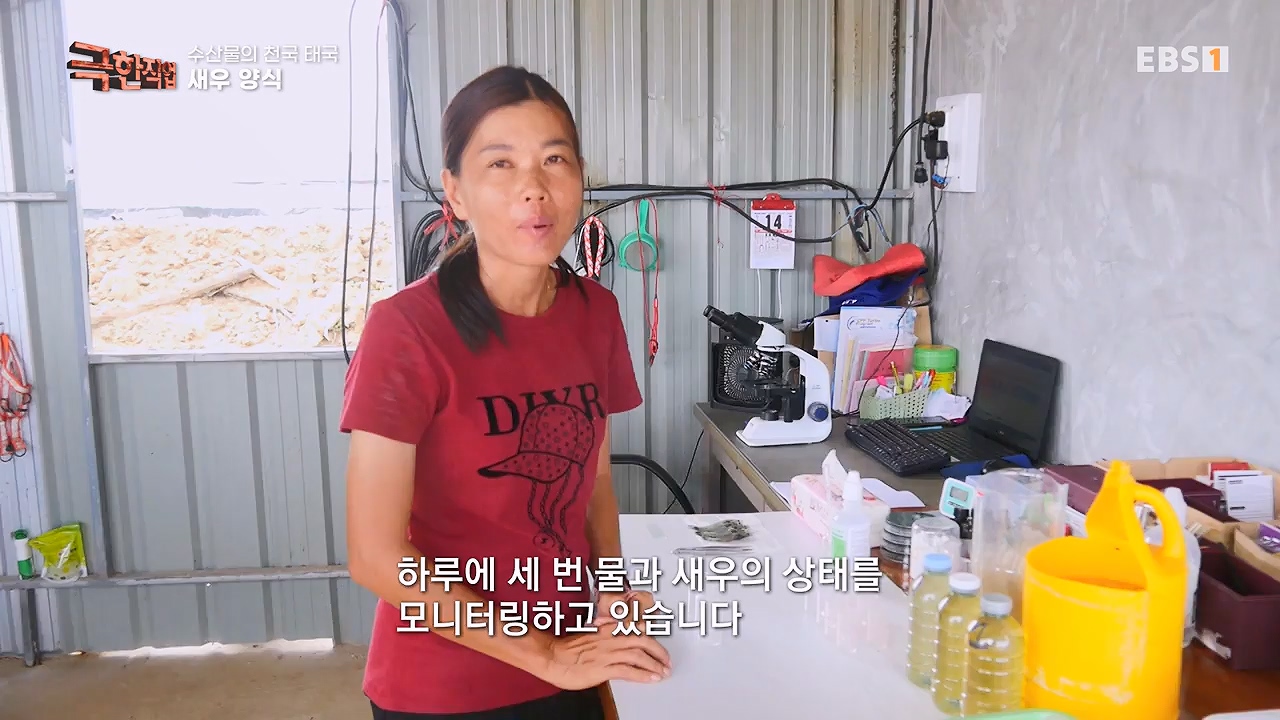 TV - 전 국민의 평생학교 EBS수산물의 천국 태국, 새우 양식과 말린 생선.mp4_20240604_201805.284.jpg
