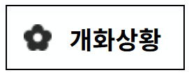 출처; 구례여행 개화상황