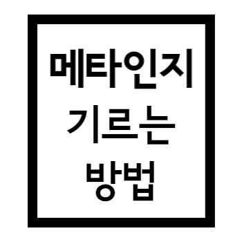  메타인지는 믿음으로 길러진다