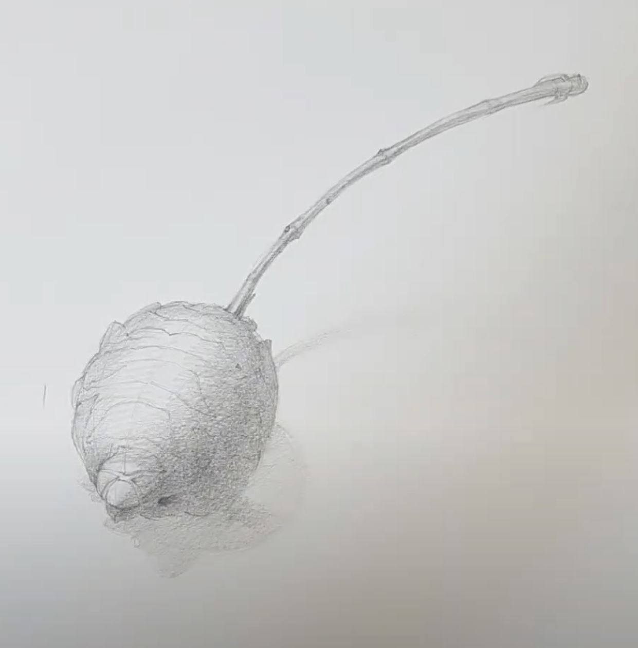 그림3