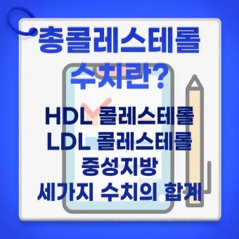 총콜레스테롤 이란 정상수치 낮추는법_10