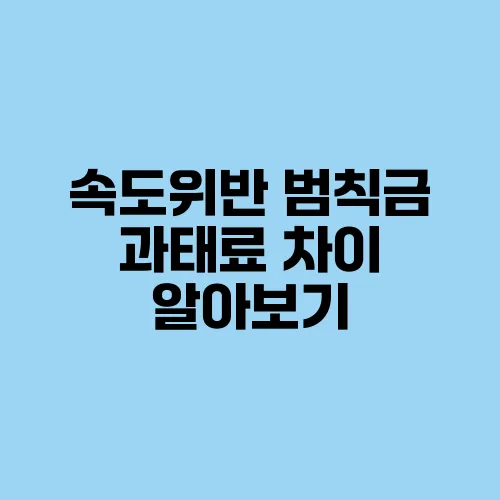 속도위반 범칙금 과태료 차이 알아보기