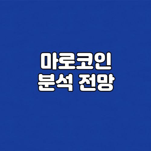  마로코인 전망 분석