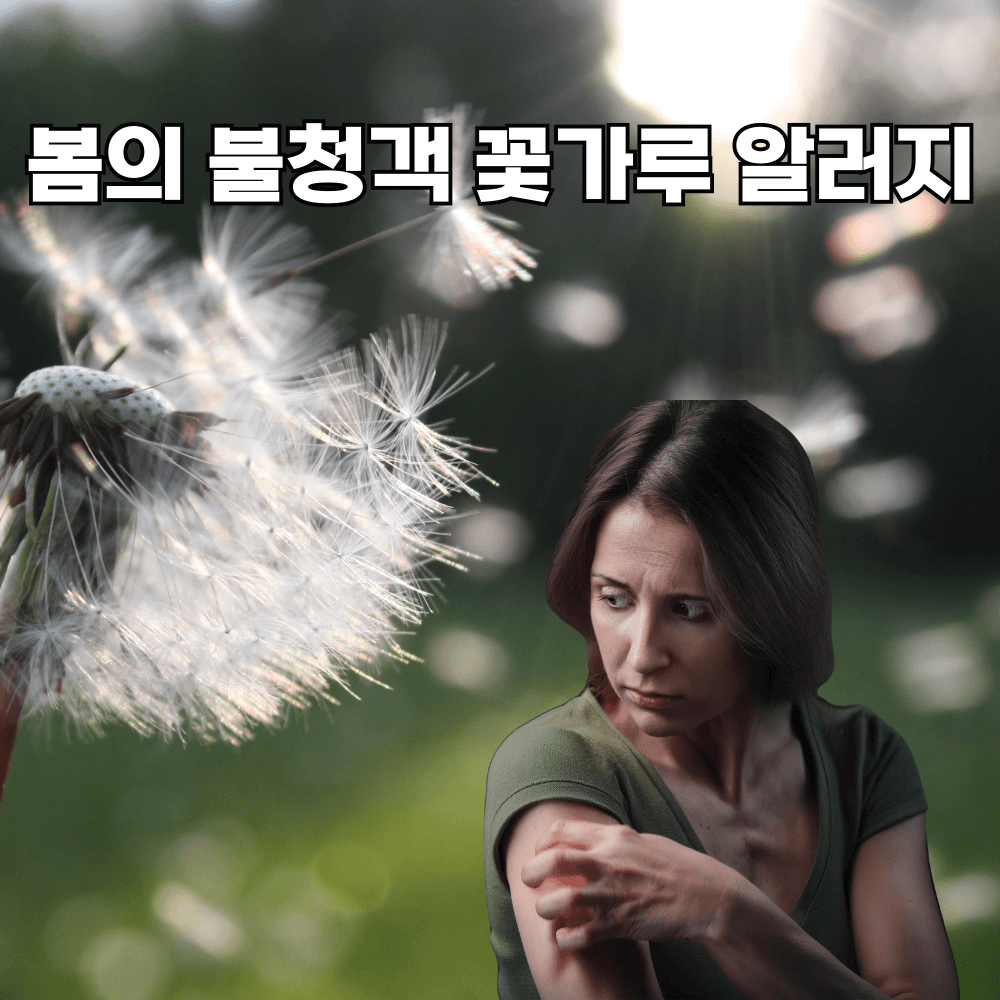봄의불청객꽃가루알러지