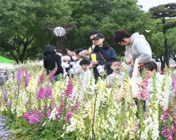 함평 나비축제_11