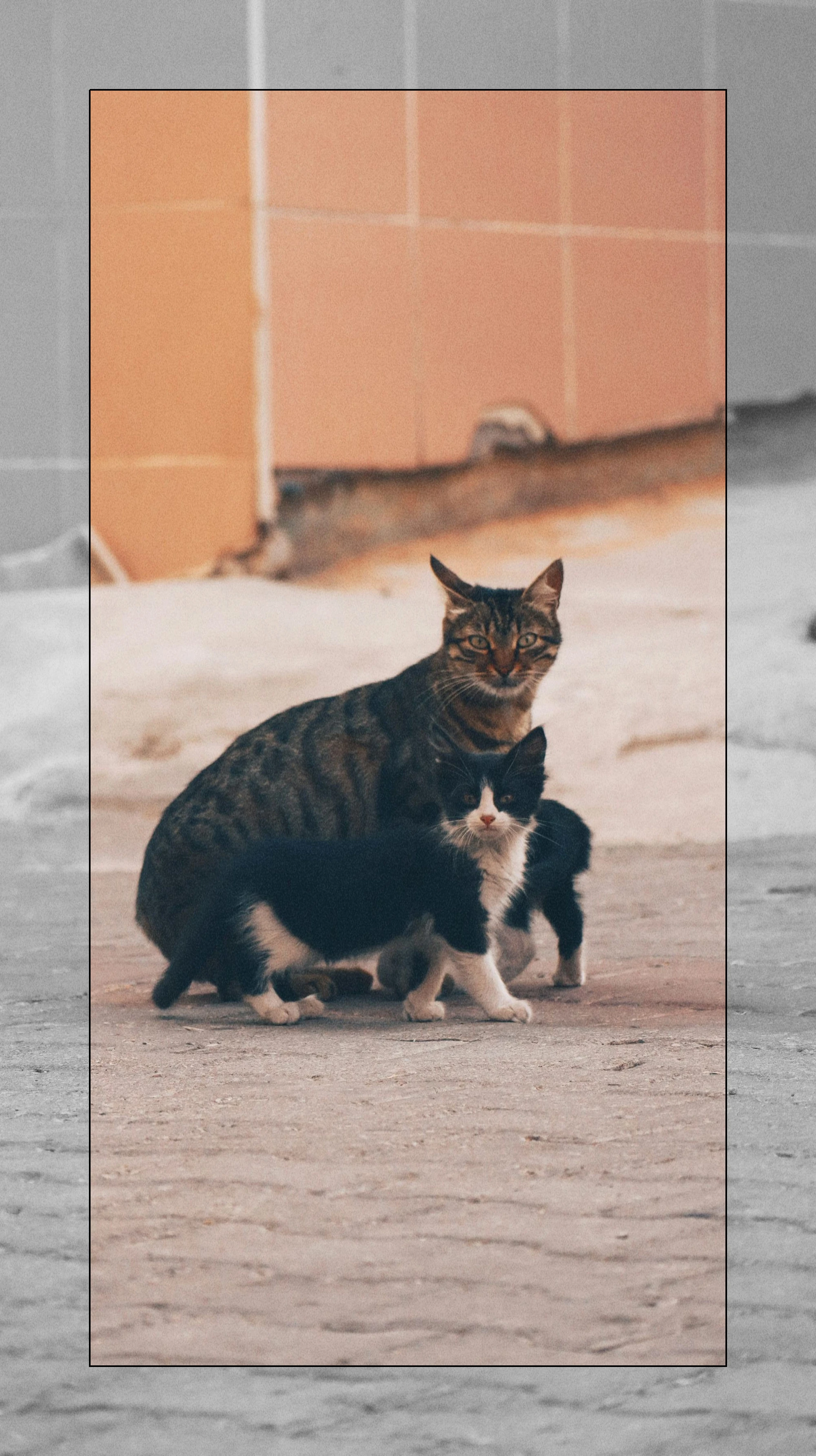 이미지_1