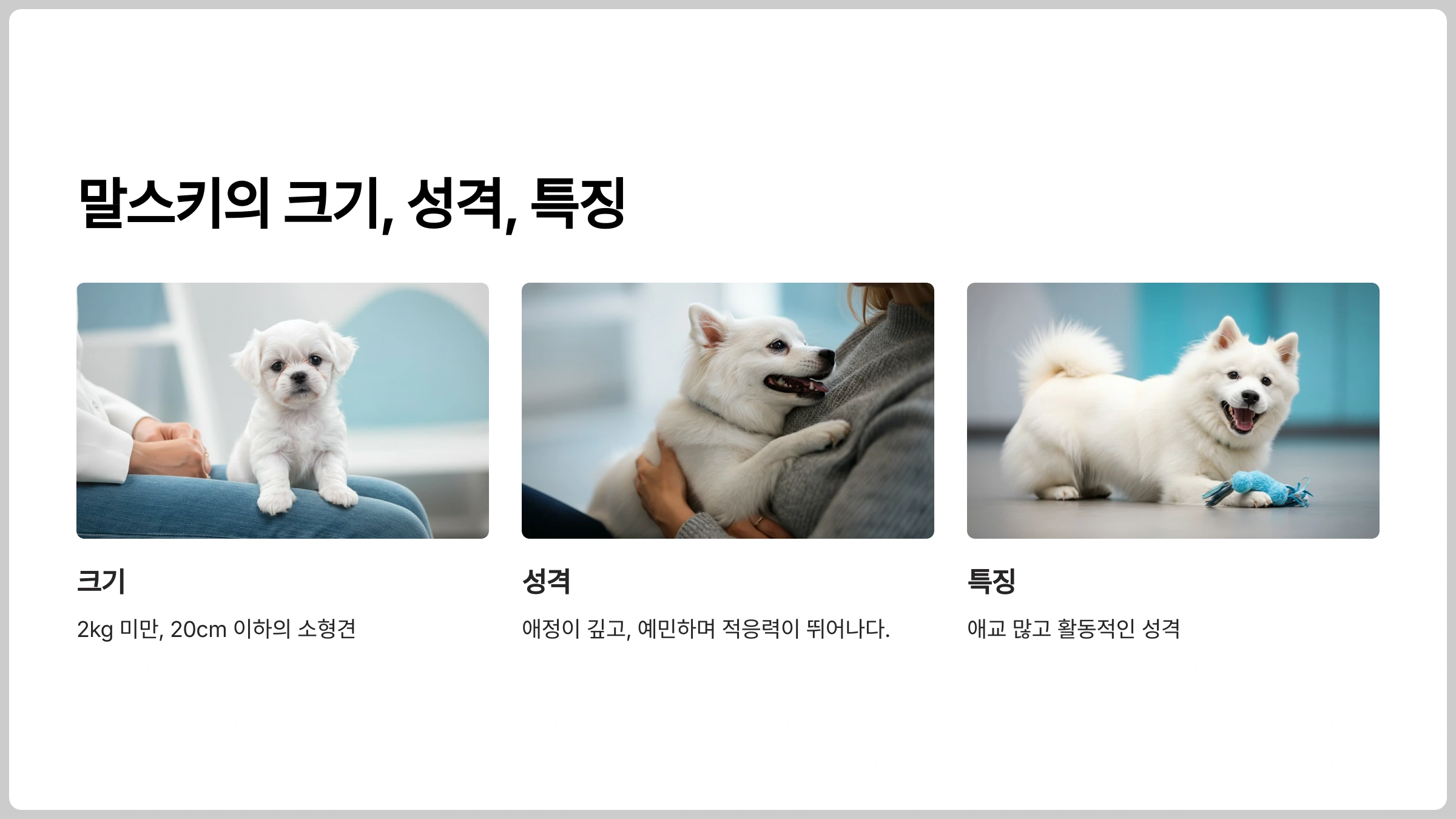 말스키의 크기 성격 특징