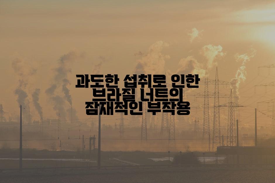 과도한 섭취로 인한 브라질 너트의 잠재적인 부작용