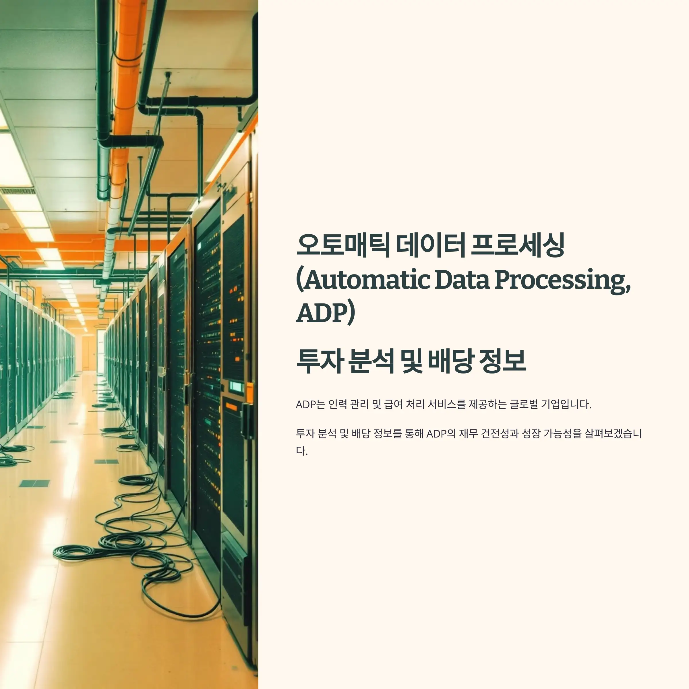 Automatic Data Processing, ADP 투자 분석 및 배당 정보