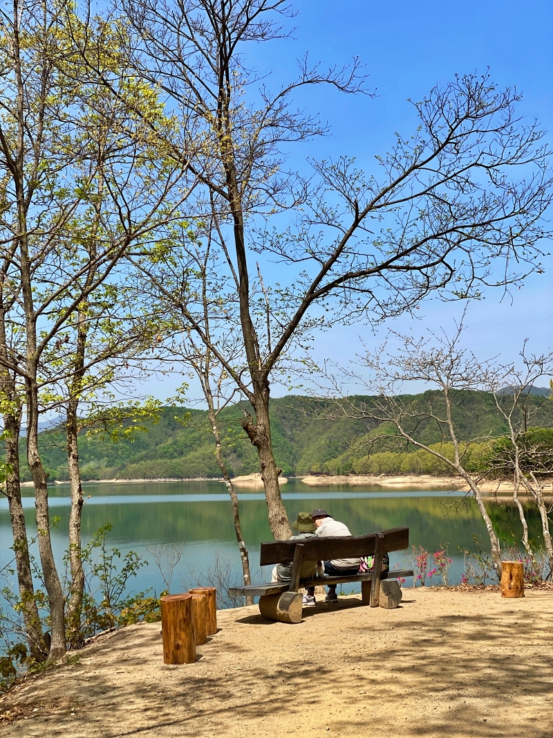 나무그늘 아래에 있는 벤치에 나란히 앉아있는 사람들