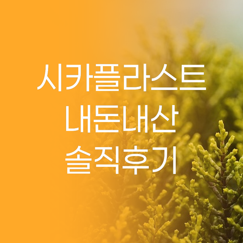 라로슈포제 시카플라스트, 내돈내산 솔