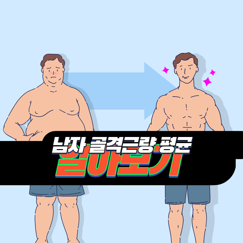 남자 골격근량 평균
