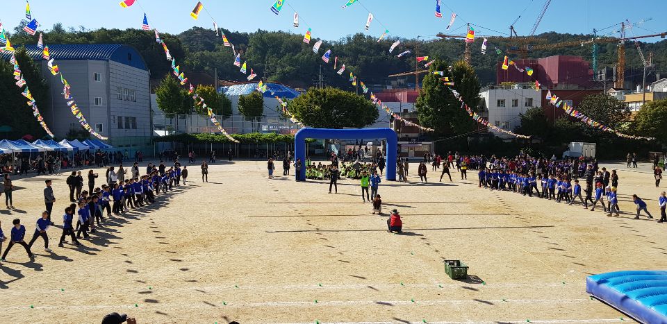  서울은평초등학교운동회 대행