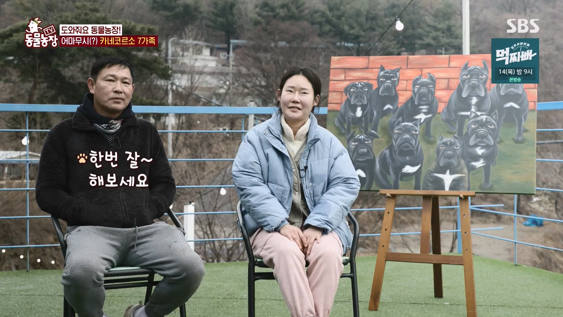 TV 동물농장.E1162.240310p-NEXT.mp4_20240310_162856.038.jpg