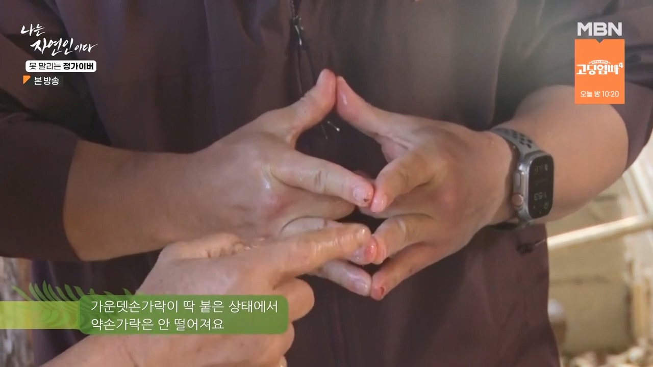 나는 자연인이다.E580.231116p-NEXT.mp4_20231116_200140.598.jpg