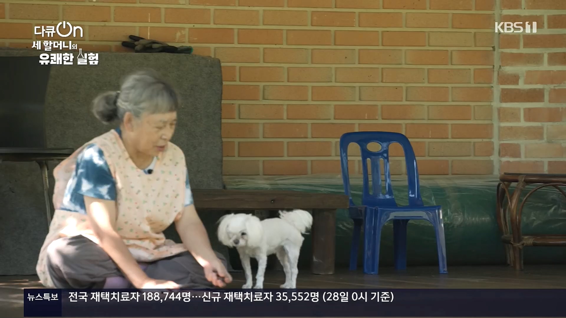 다큐 On.E166.221028p.H264-F1RST.mp4_20221031_194358.087.jpg