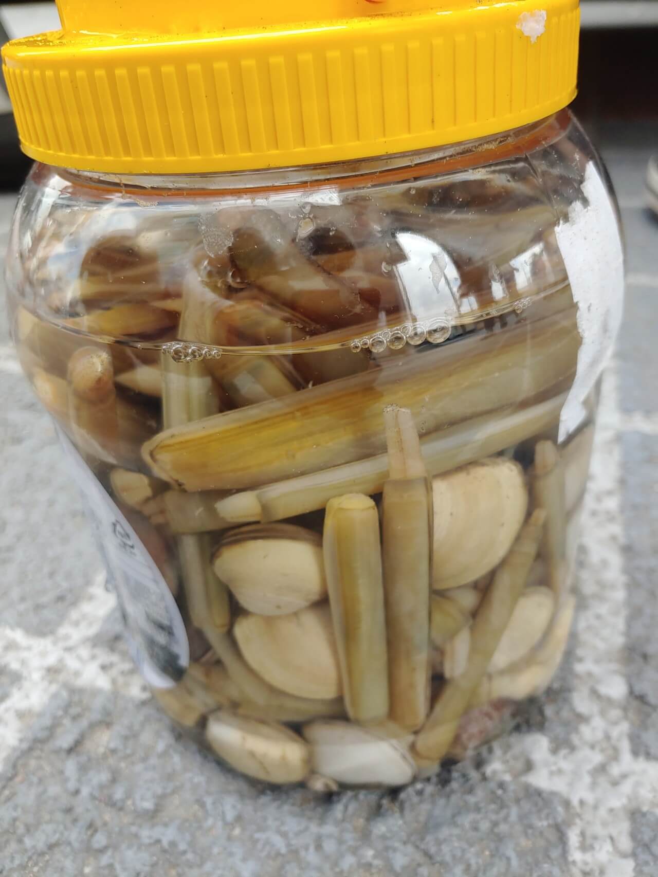 태안 몽산포 맛조개 잡기 갯벌체험(달산포&#44; 청포대)