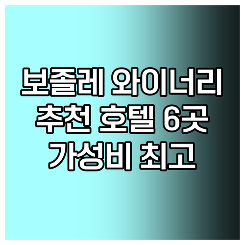프랑스 보졸레 와이너리 근처 추천 호