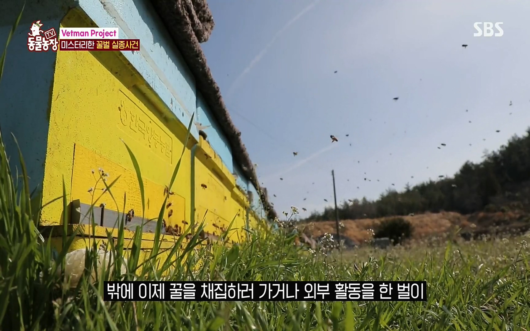 TV 동물농장.E1072.220605p.H264-F1RST.mp4_20220605_180635.219.jpg
