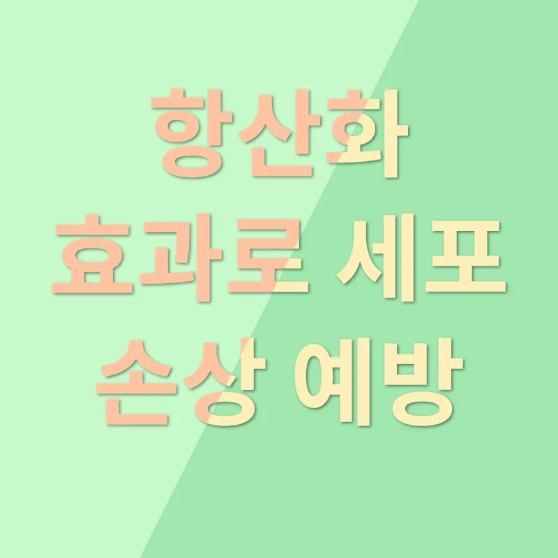 복분자 홍초_1