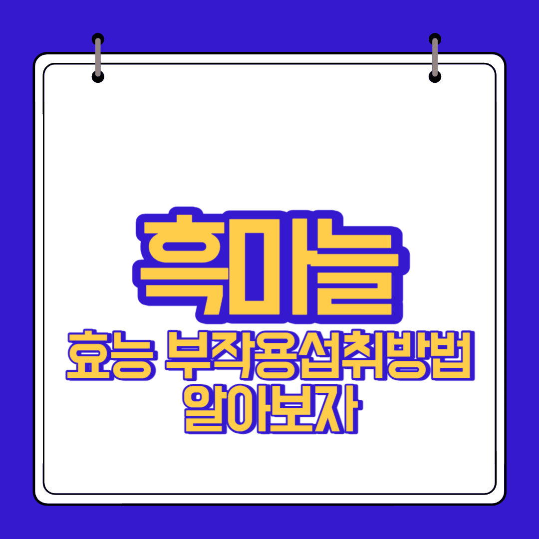  흑마늘 효능 부작용 알고 섭취하자