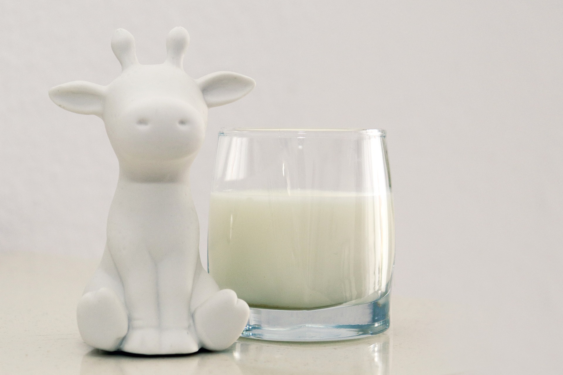 컵에 담겨 있는 우유와 젓소를 상징하는 앙증맞은 소 소인형 사진 - 태음인(太陰人)에게 맞는 음식