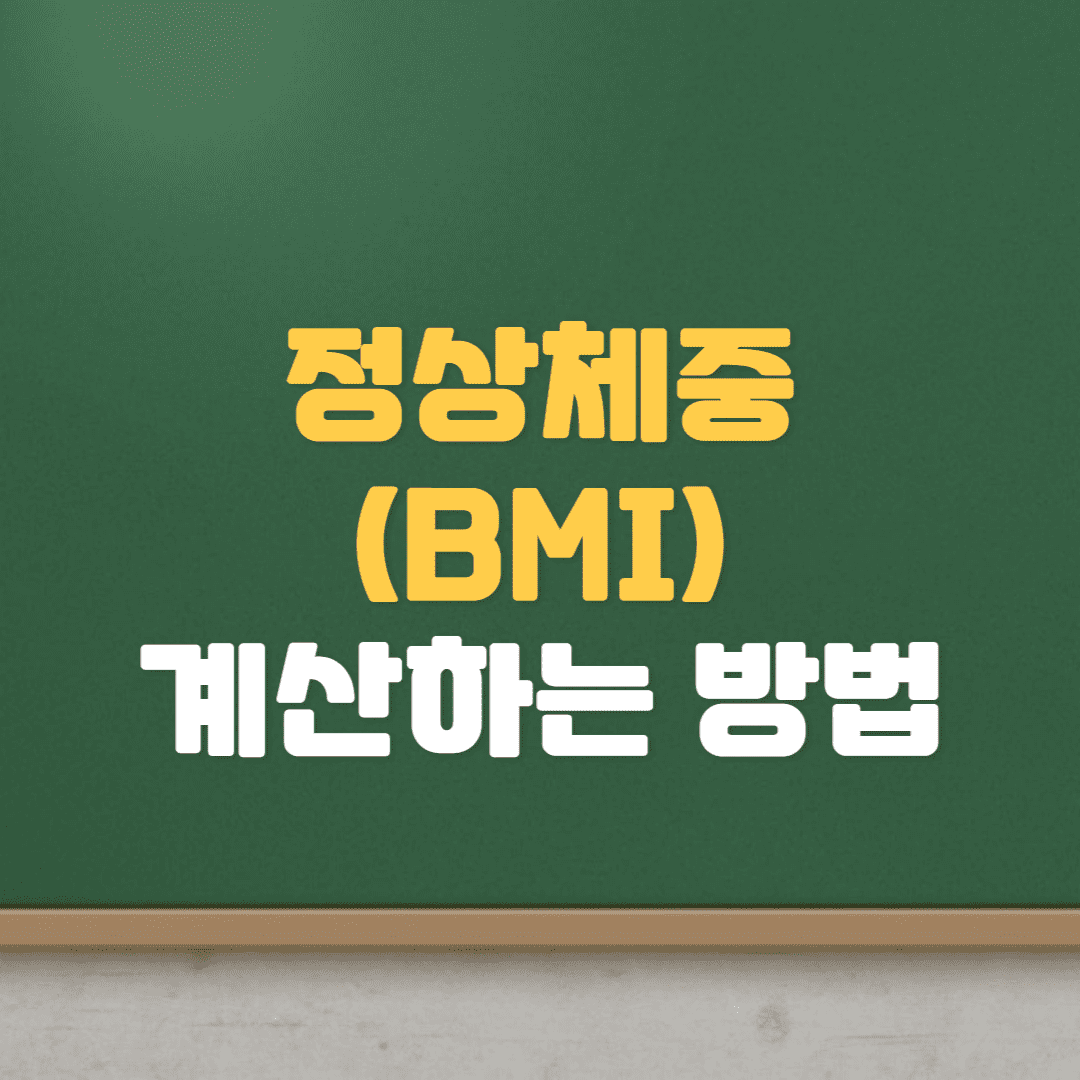  BMI 계산하기 (다이어트, 비만도, BMI계산, 정상체중, 기초대사량)