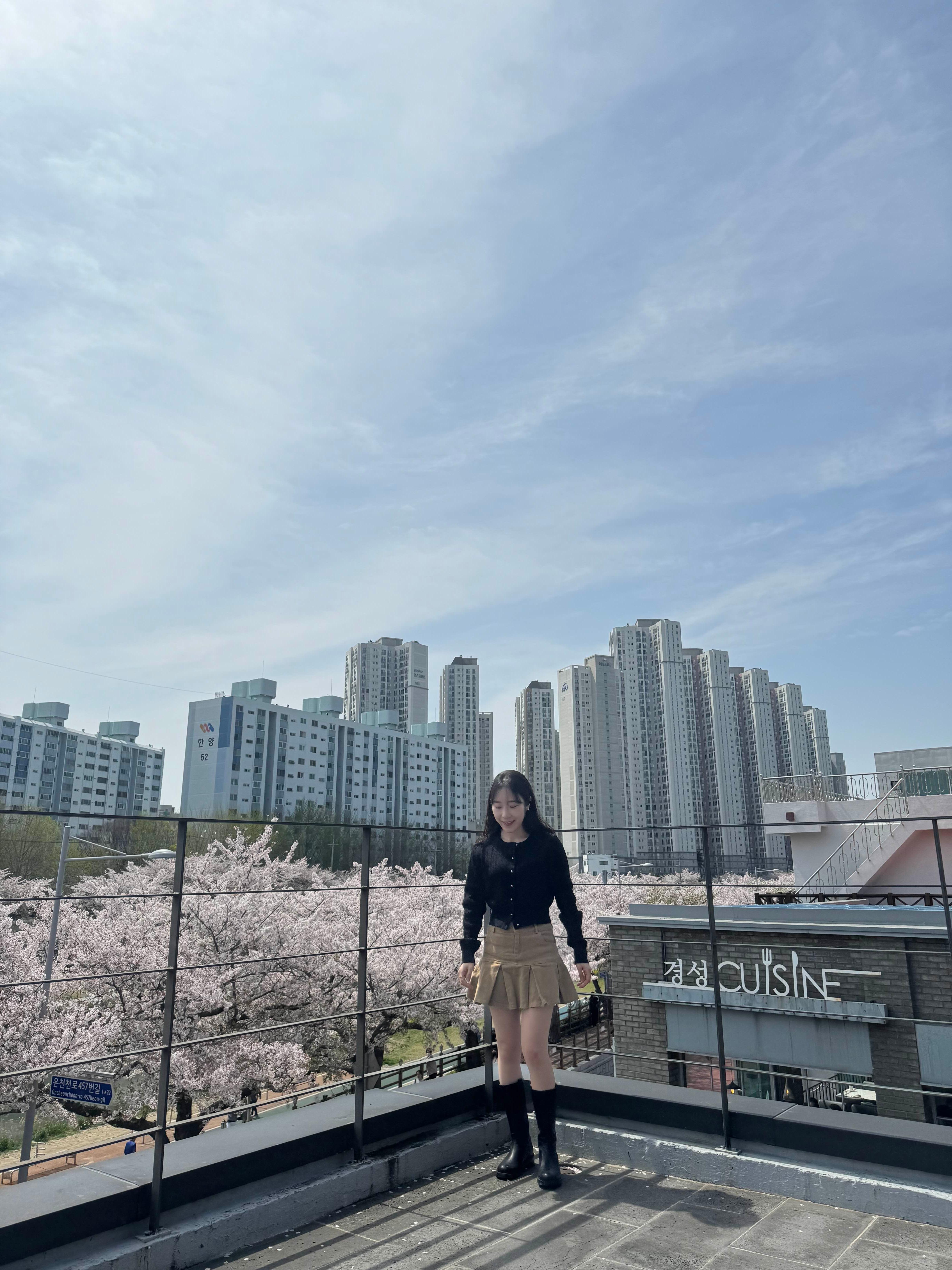 온천천카페거리