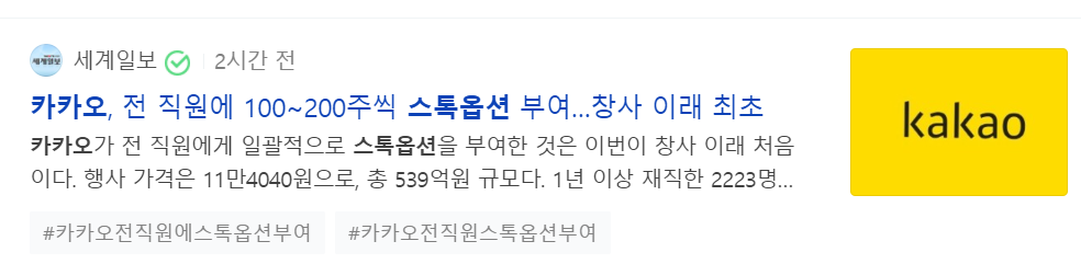  카카오 스톡옵션 제공, 스톡옵션이란