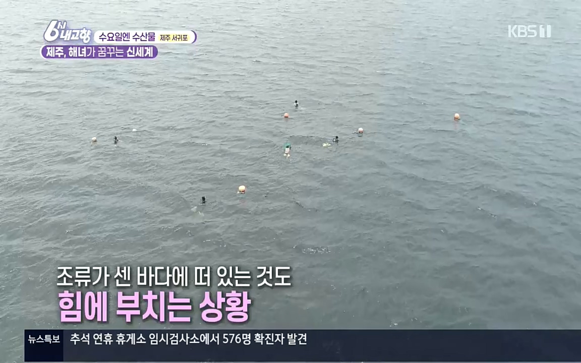 6시 내고향.E7617.220915p.H264-F1RST.mp4_20220916_213057.584.jpg