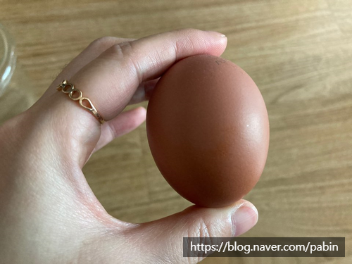 동물복지농장 내돈내산) 농장에서 바로 2