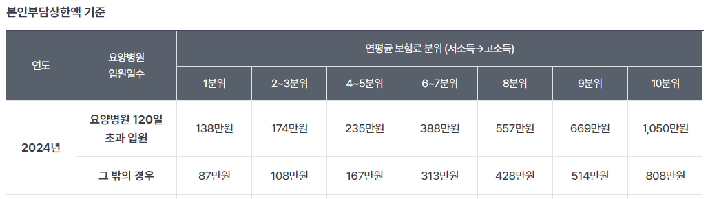 본인-부담-상환액-초과금-신청-방법