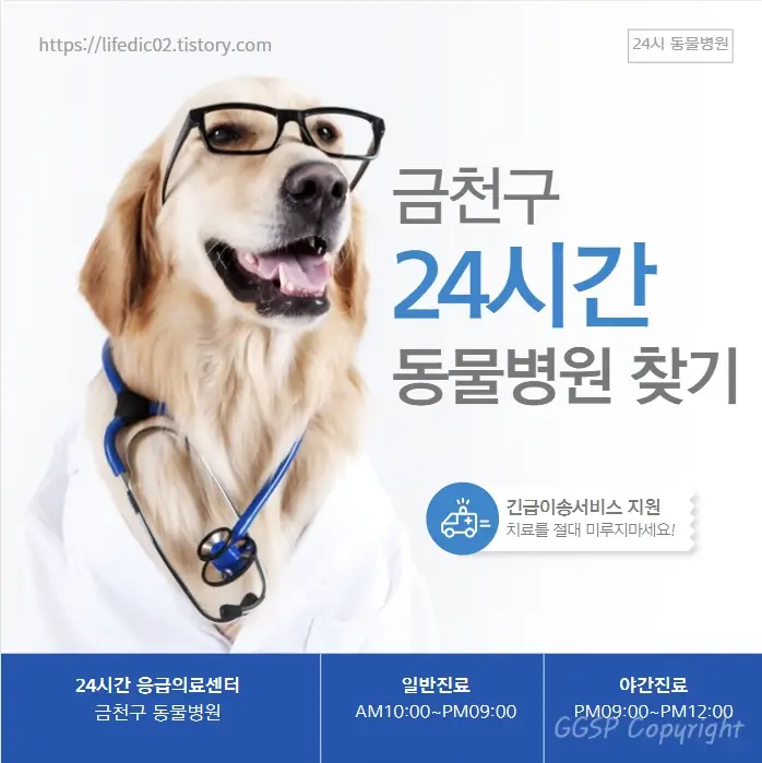  금천구 24시간 동물병원 근처 일요일 야간 진료 강아지 병원