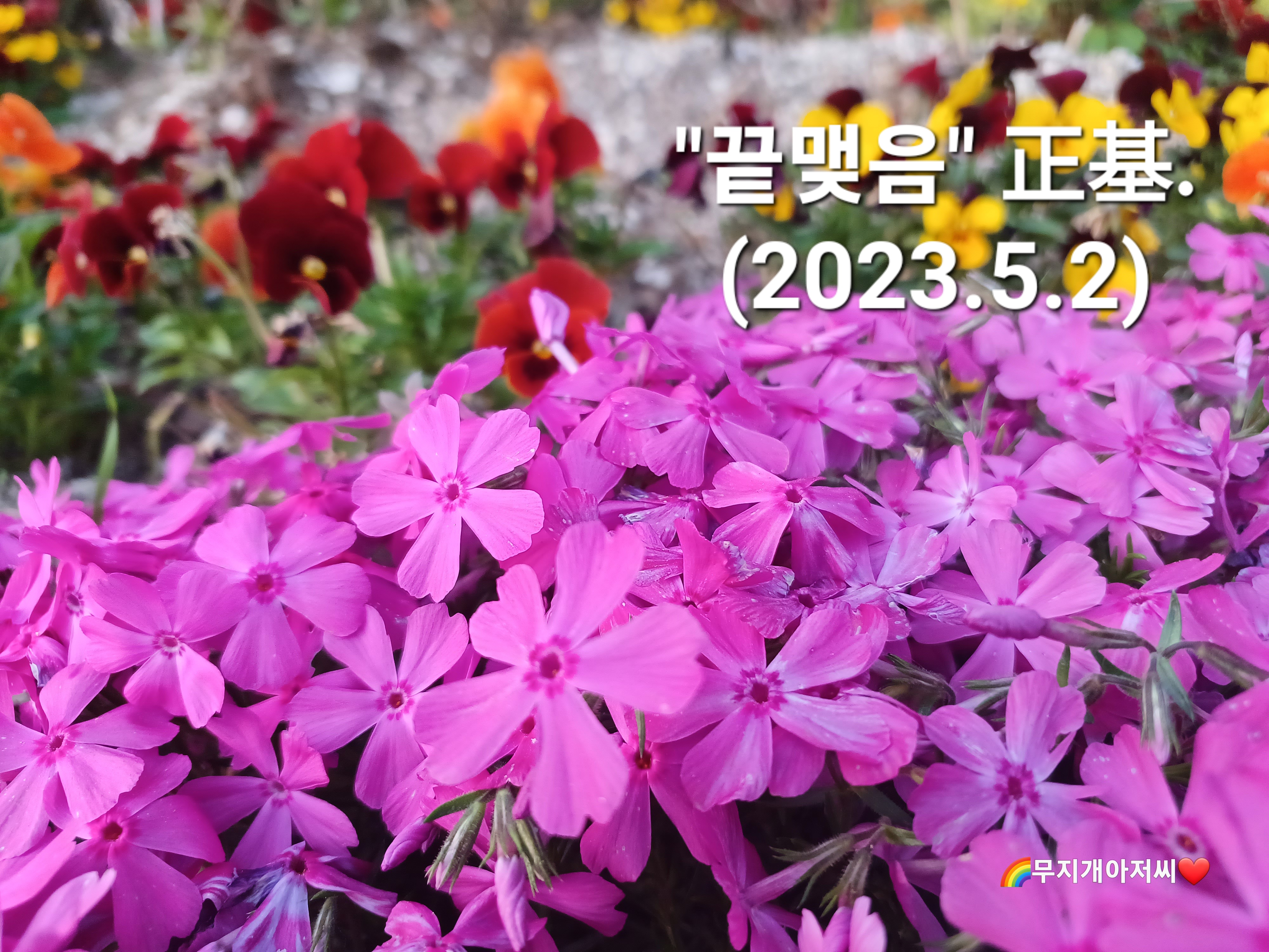 네잎클러버2 이미지