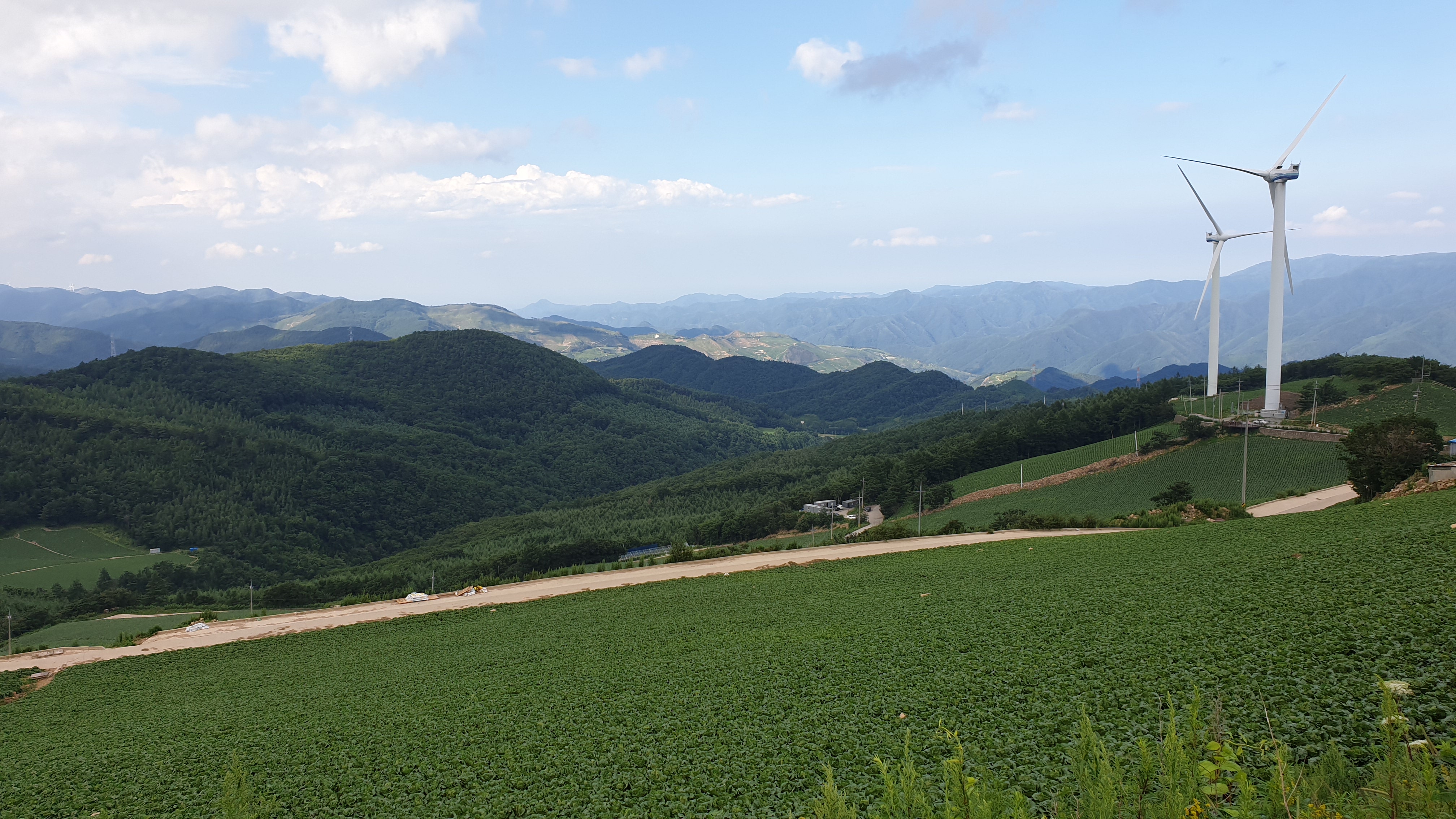  태백 매봉산 바람의 언덕 풍력발전단지 셔틀버스 투어팁