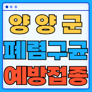 강원도 양양군 폐렴구균 백신 무료 예방접종 비용지원 가격 신청방법 대상자 간격 13가 15가 20가 23가