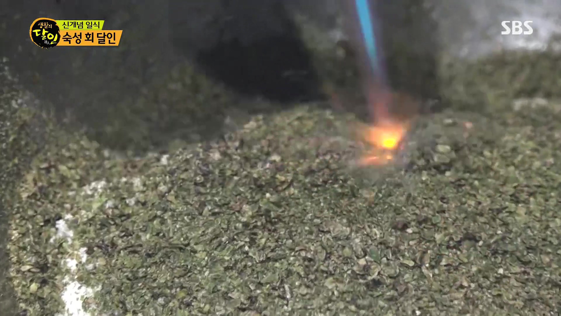 생활의 달인.E939.240610p.H264-F1RST.mp4_20240611_200042.408.jpg